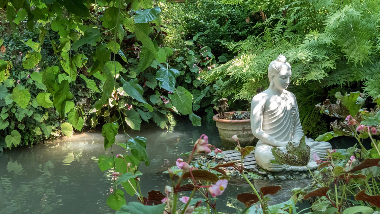 Comment créer un jardin zen extérieur pas cher — free download
